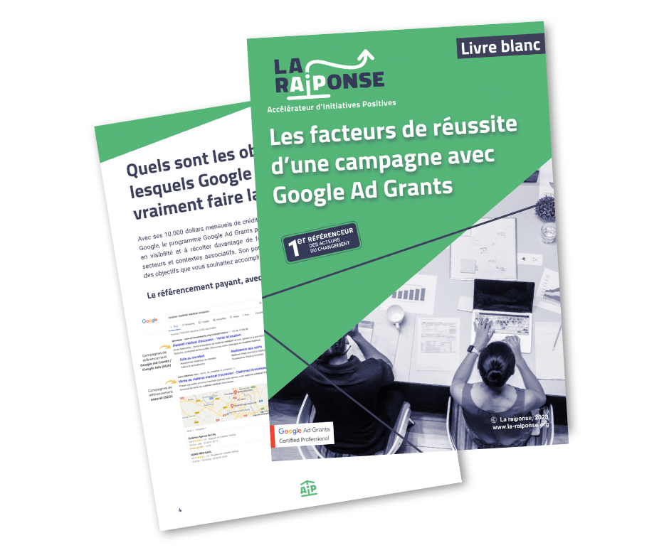Agence google ad grants